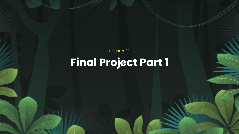 Python coding lesson 11