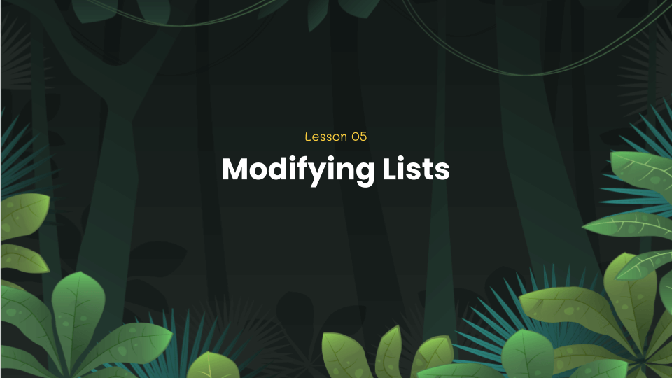 Python coding lesson 5