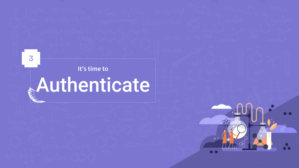 Professional Web App, Python Lesson 3