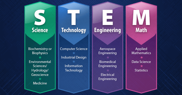 STEM Meaning Graphic